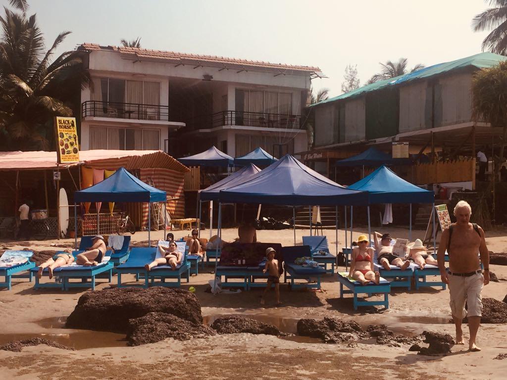 Boomerang Resort Mandrem Εξωτερικό φωτογραφία
